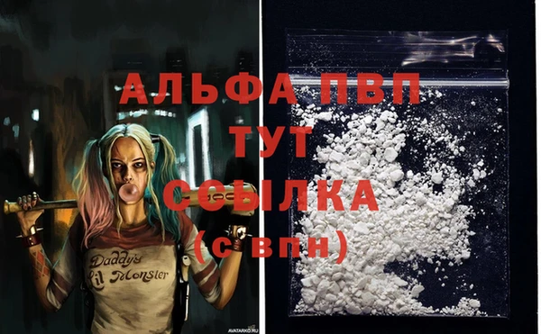 дмт Абаза