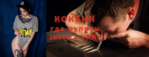 индика Абинск