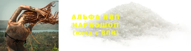 дмт Абаза