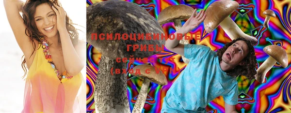 дмт Абаза