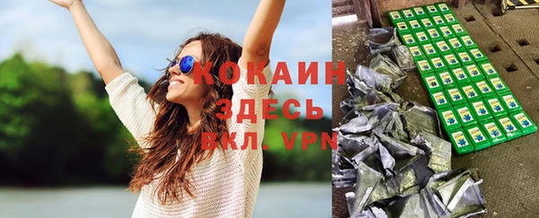 индика Абинск
