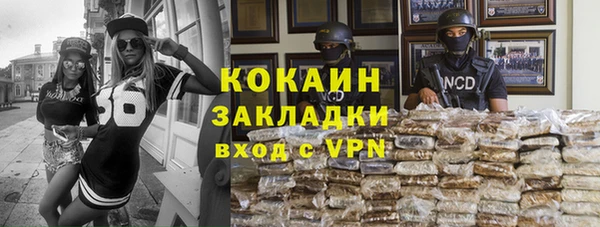 индика Абинск