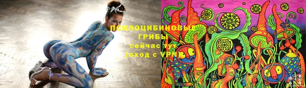 СК Абдулино