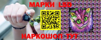 скорость Заводоуковск