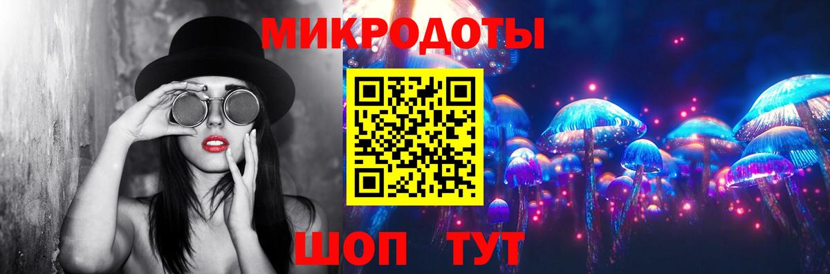 Псилоцибиновые грибы Psilocybine cubensis Лысьва